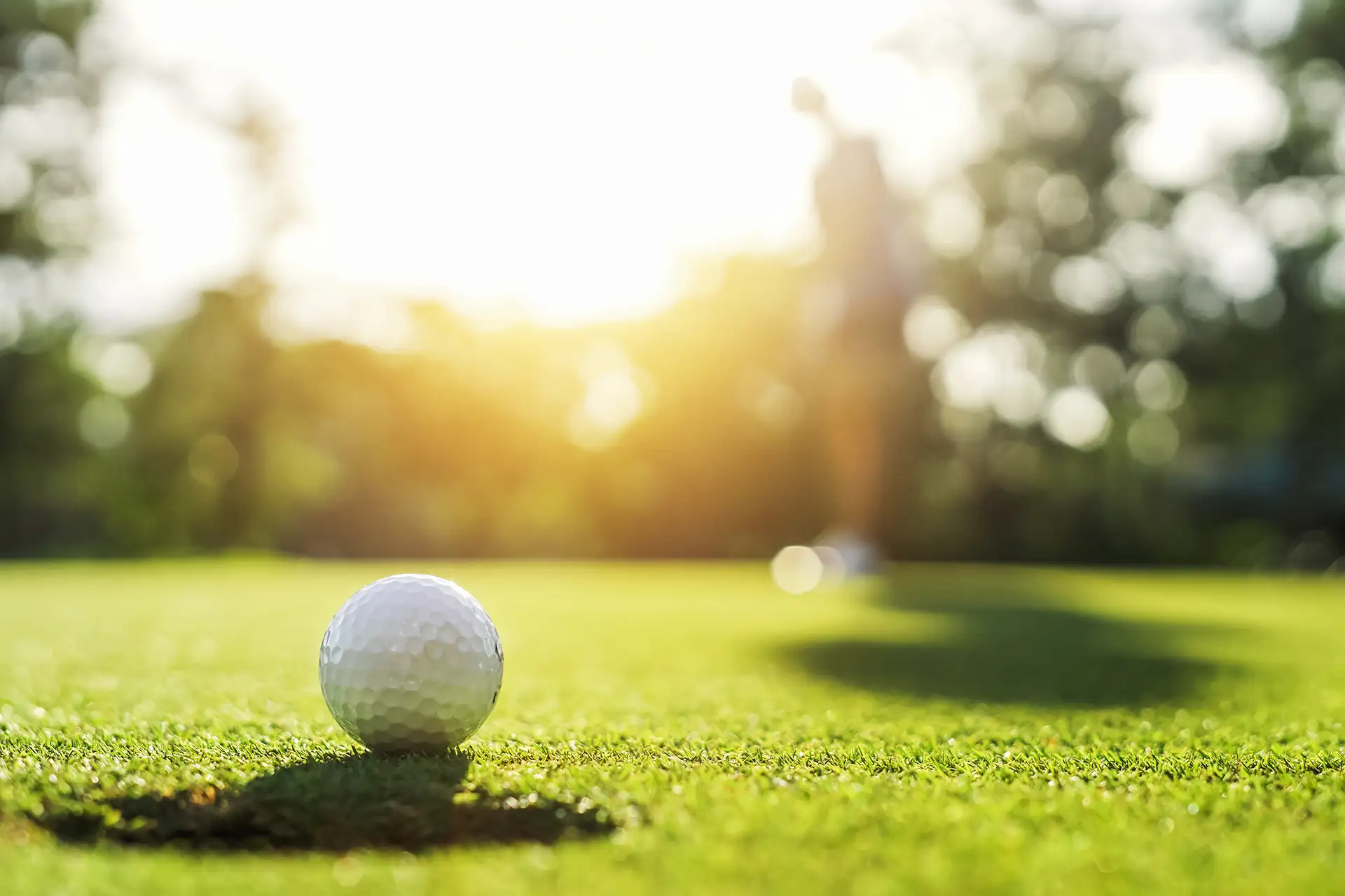 Walsh Charity Golf Outing